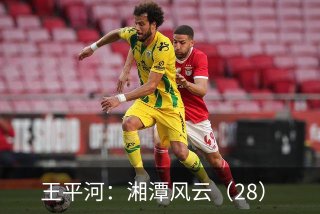 王平河:湘潭风云(2/8)